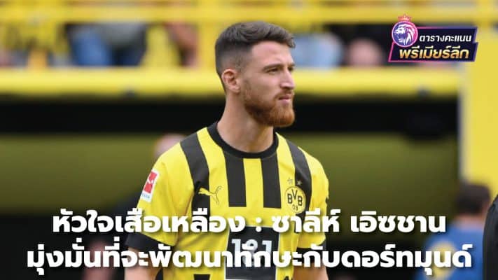 Yellow at heart: Saleh Izcan aims to improve at Dortmund
