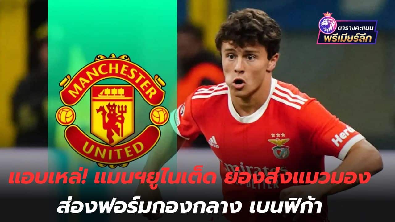 Secretly squinting! Manchester United secretly sends scouts to monitor Benfica midfielder's form